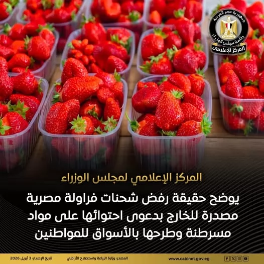 مجلس الوزراء يكشف حقيقة رفض شحنات فراولة مصرية مصدرة للخارج